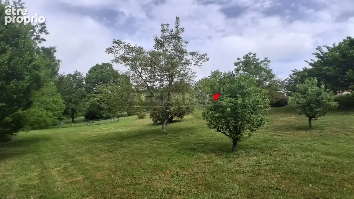 Graulhet - maison avec piscine - photo 13