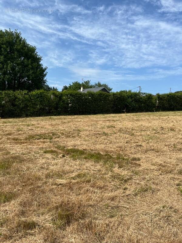 Terrain à ANCINNES