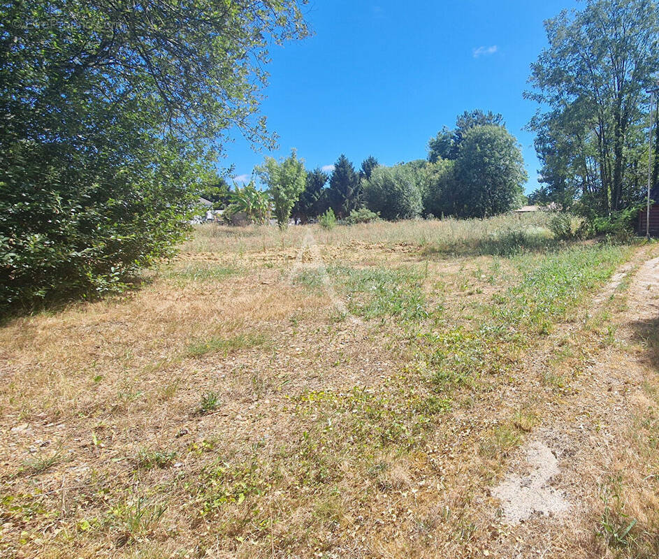 Terrain à TALMONT-SAINT-HILAIRE