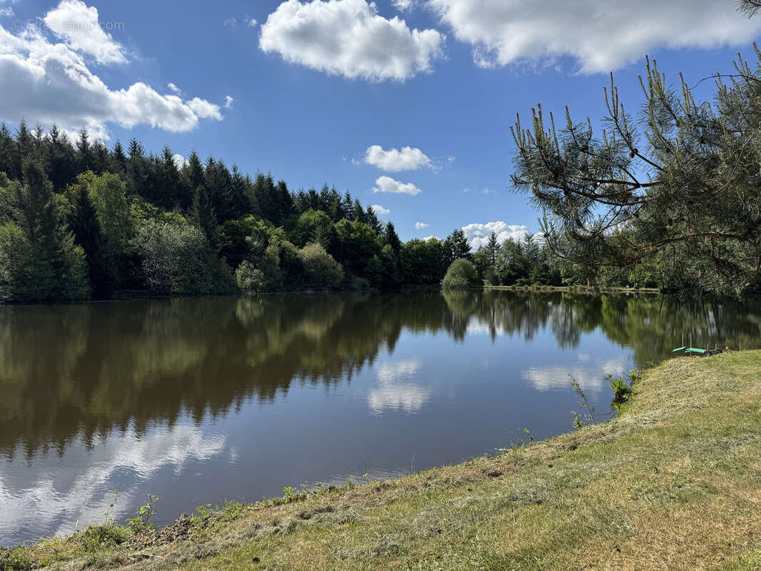 Ensemble de 2 grands etangs dans le morvan - photo 6