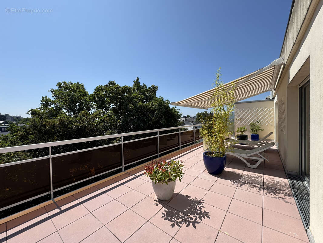 Appartement en Duplex Dernier Etage Entièrement sur Terrasses - photo 14