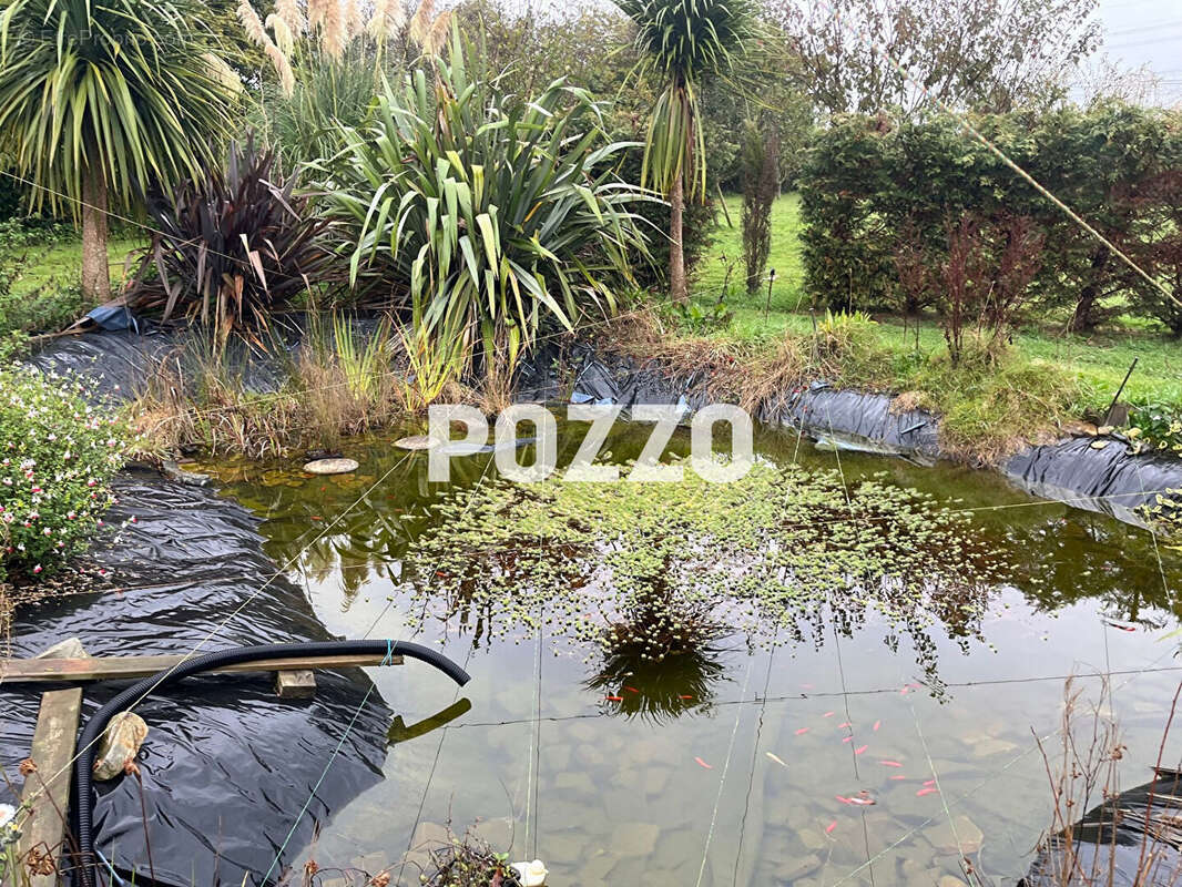 Maison à GONFREVILLE