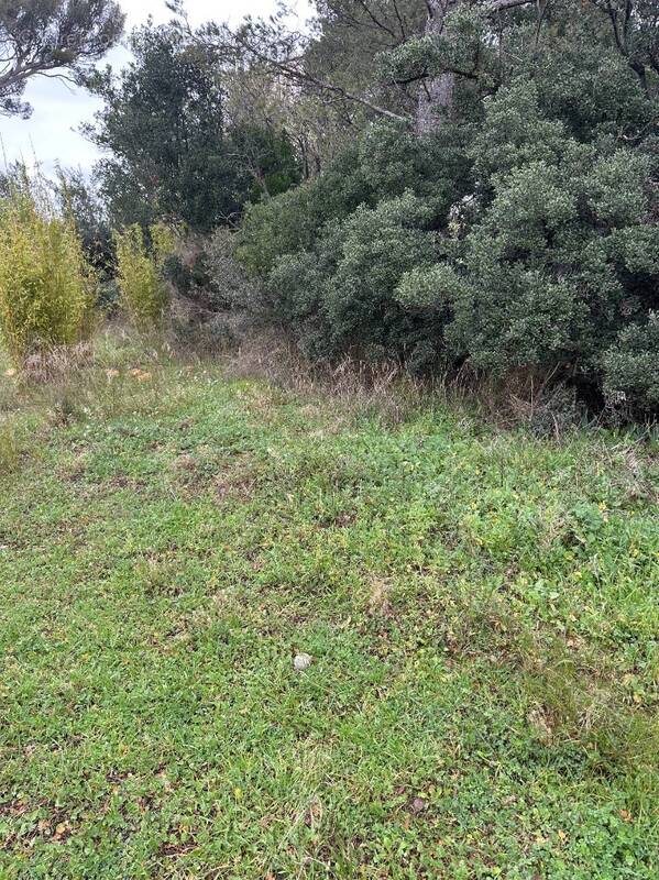 Terrain 547 m² à Lambesc  - photo 1