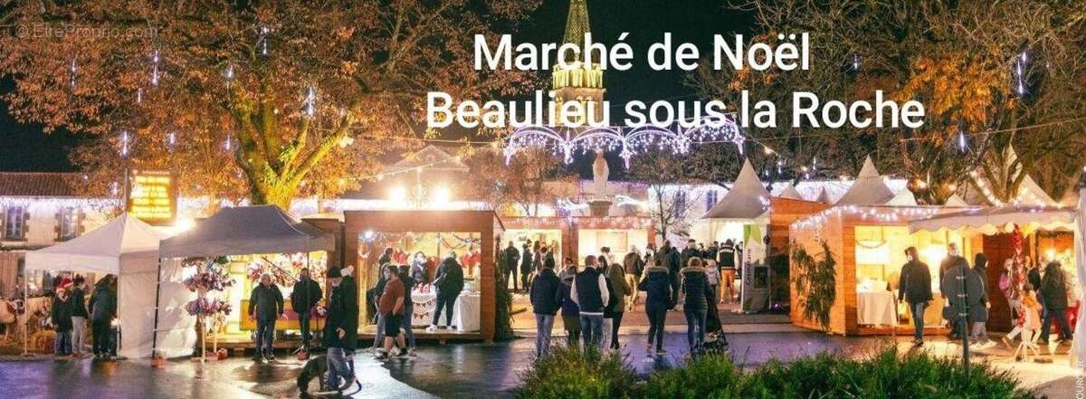 Terrain à BEAULIEU-SOUS-LA-ROCHE