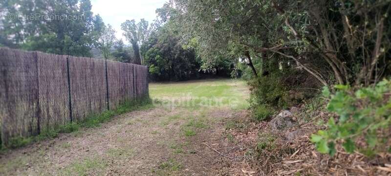  Terrain constructible viabilisé à Roquesels (34) – Un cadre exceptionnel ! - photo 3