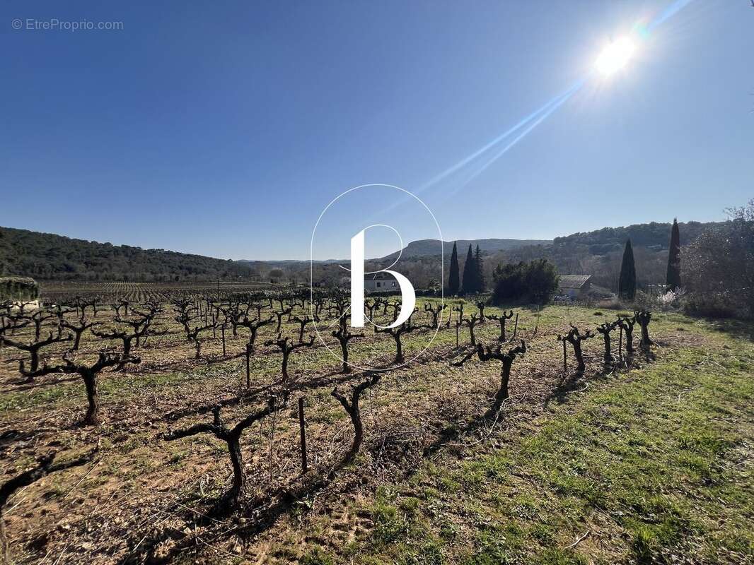 Terrain à LA ROQUE-SUR-CEZE