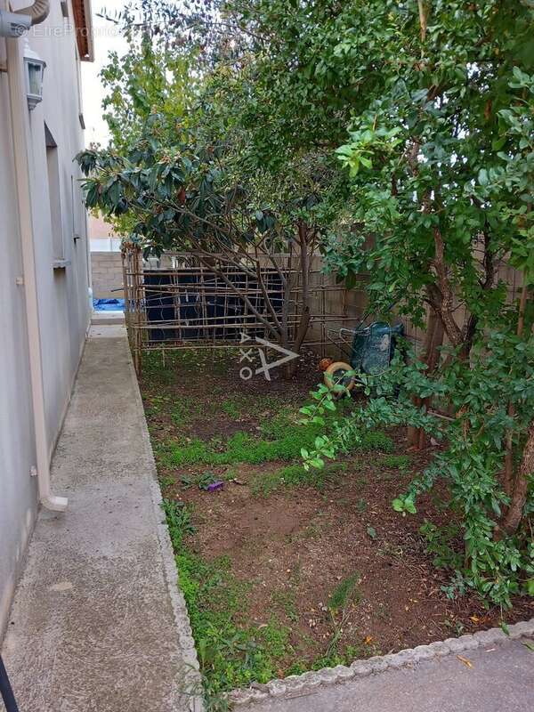 Maison à SAINT-ANDRE-DE-SANGONIS