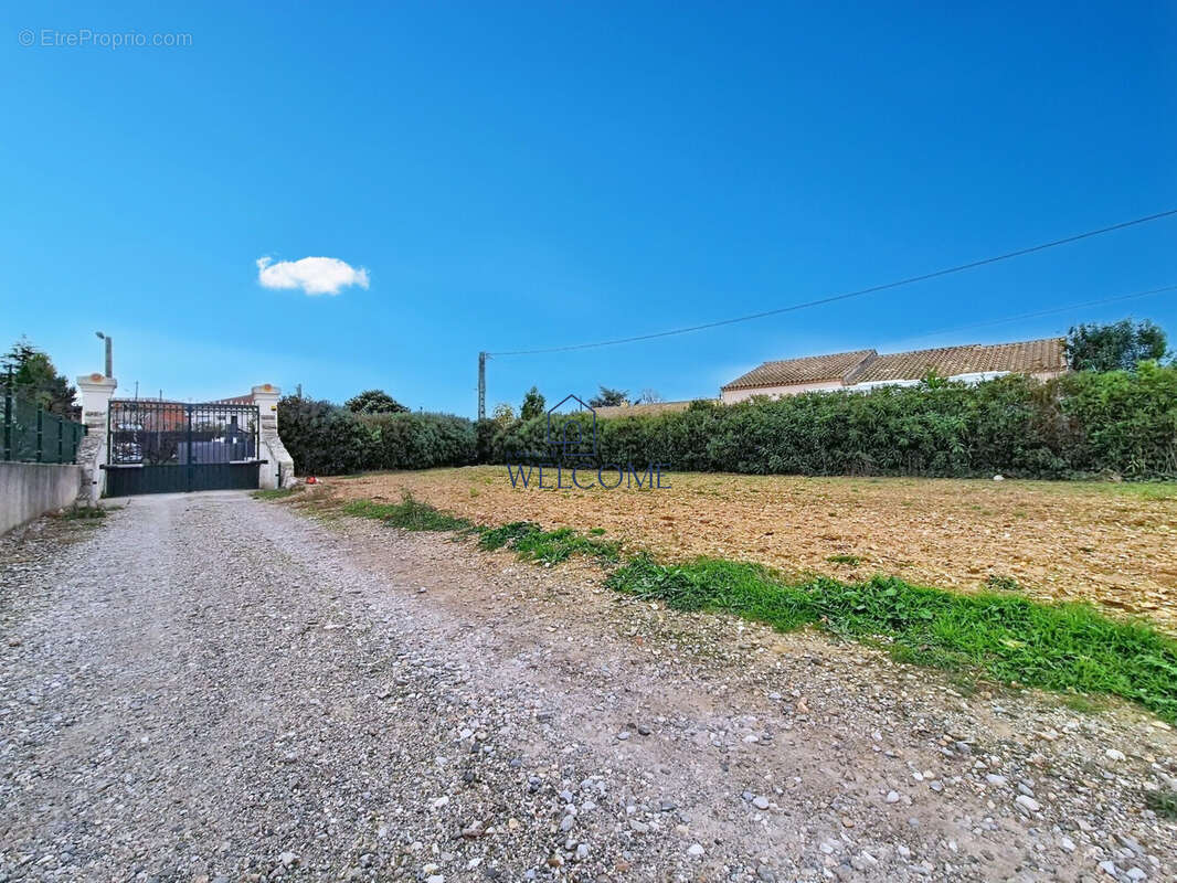 Terrain à SAINT-ANDRE-DE-SANGONIS