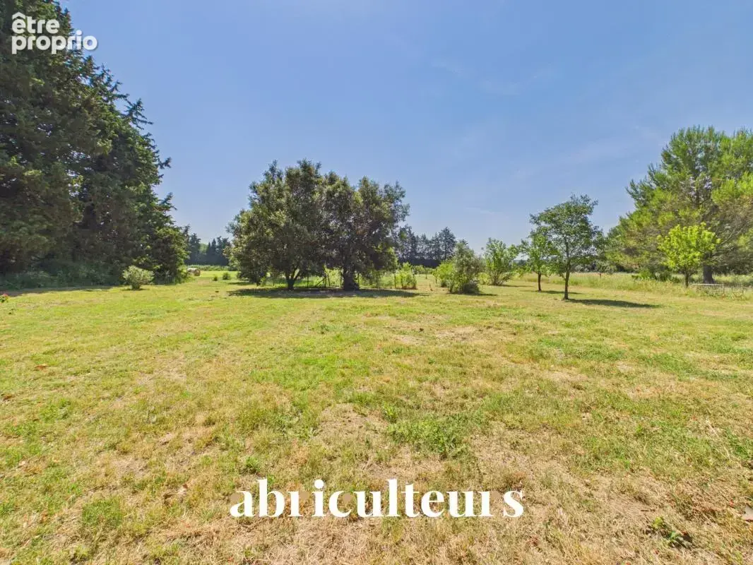 Mas provençal de 310 m² avec piscine et parc arboré de 7 880 m² — PNR des Alpilles - photo 18