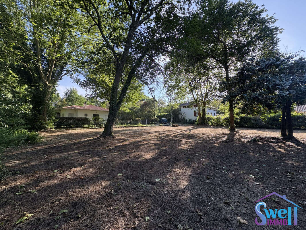 Terrain à MESSANGES