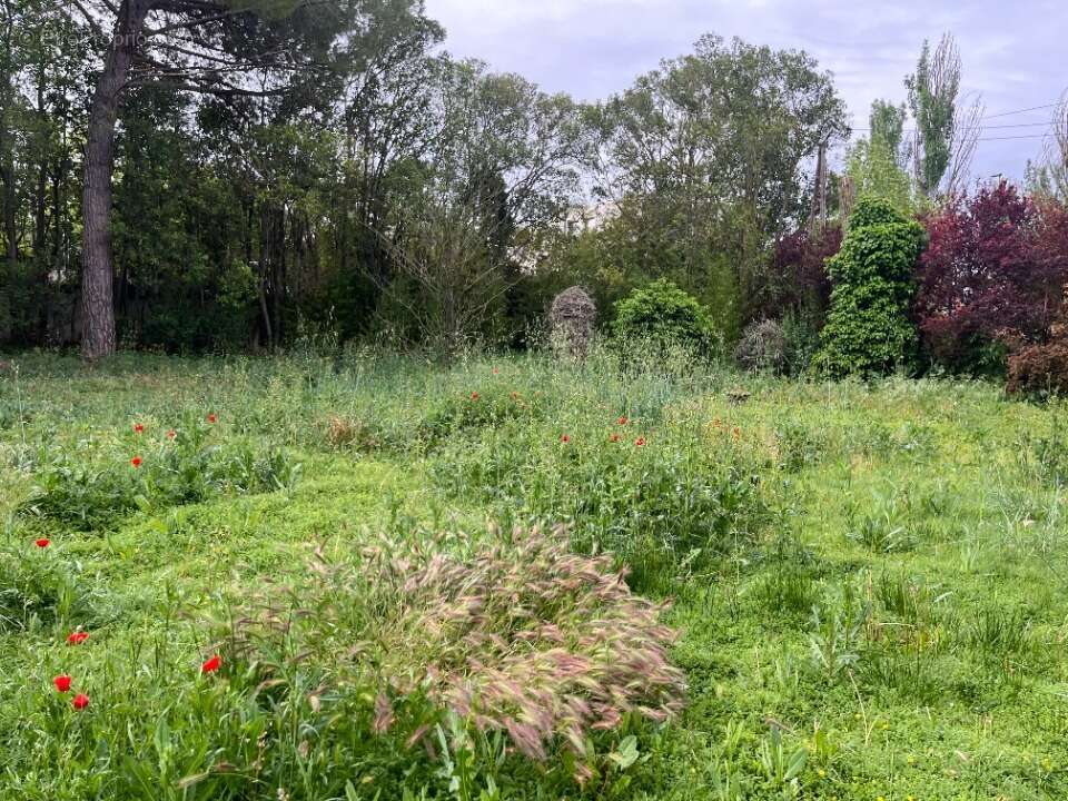 Terrain à BOUC-BEL-AIR