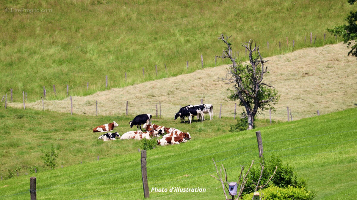 Terrain à SCHWEIGHOUSE-SUR-MODER