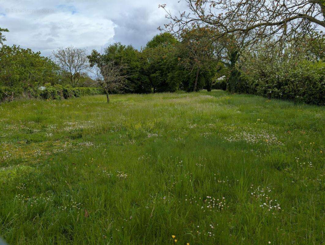Terrain à PARCE-SUR-SARTHE
