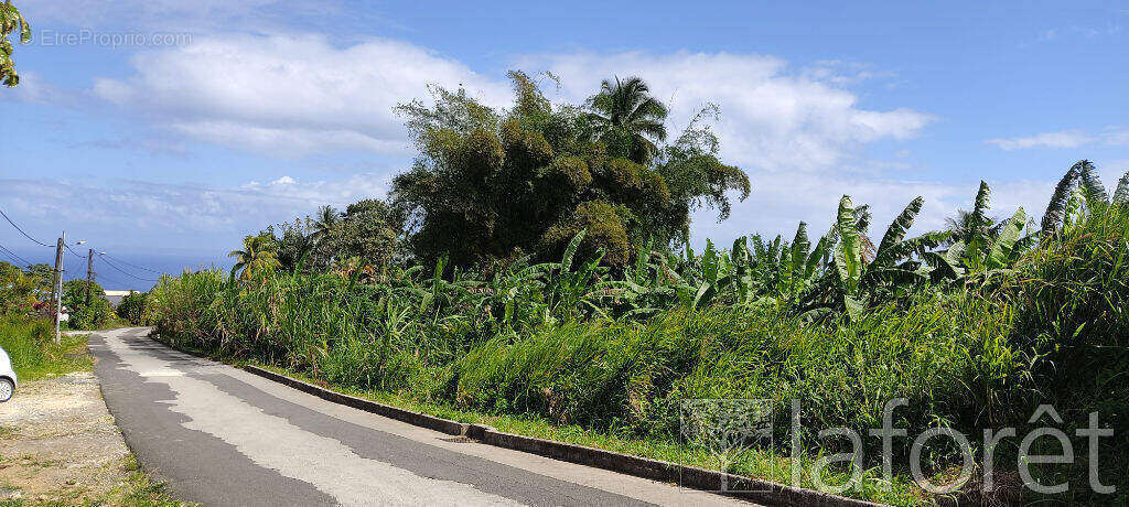Terrain à CAPESTERRE-BELLE-EAU