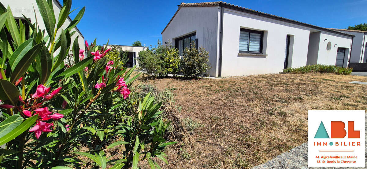 Maison à MONTAIGU