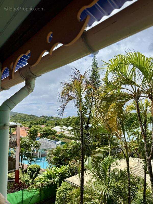 Appartement à SAINTE-ANNE