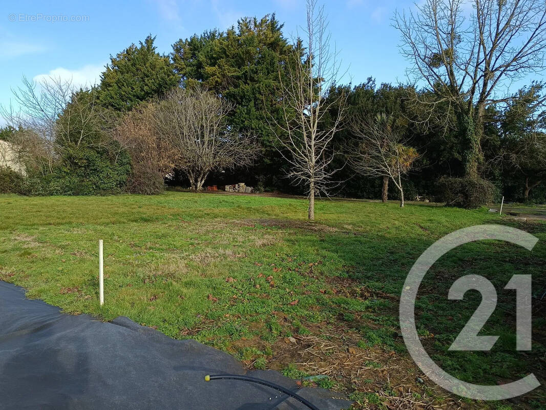 Terrain à SAINT-ROMAIN-DE-BENET