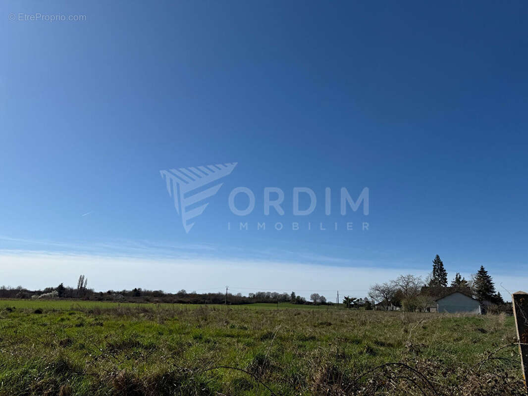 Terrain à BEAULIEU-SUR-LOIRE