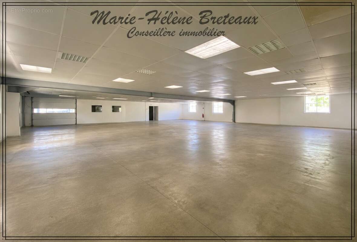 Local/bureau à vendre  (47)Ensemble immobilier professionnel de 1 880 m² à Barbaste - photo 3
