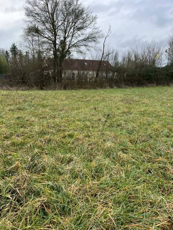 Terrain à SAINT-COSME-EN-VAIRAIS
