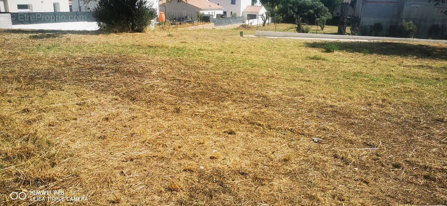 Terrain à AUBAGNE