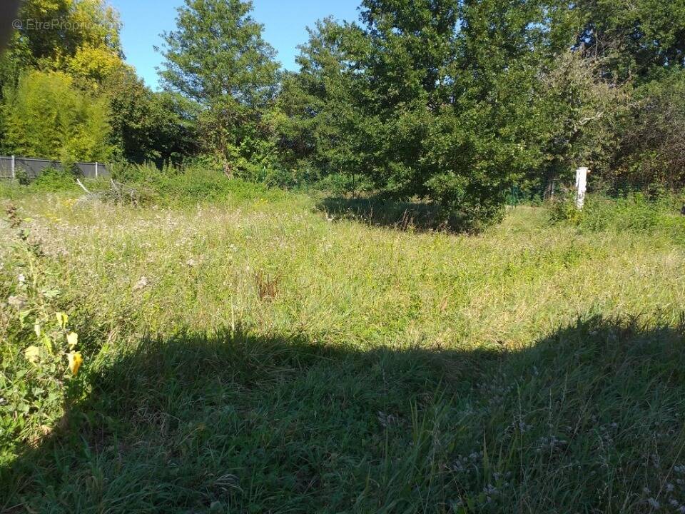 Terrain à CREON