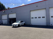 Commerce à WITTENHEIM