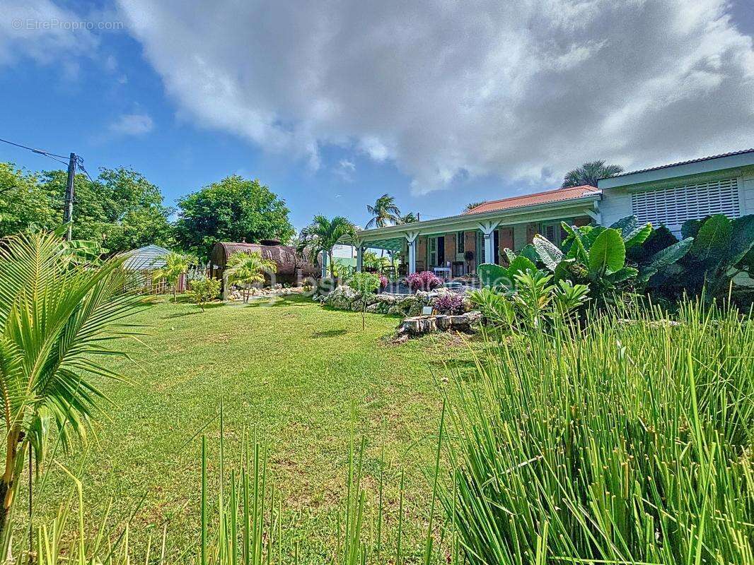 Maison à SAINT-FRANCOIS