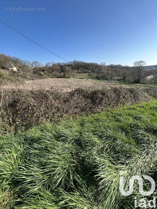 Photo 3 - Terrain à MONTPEZAT-DE-QUERCY
