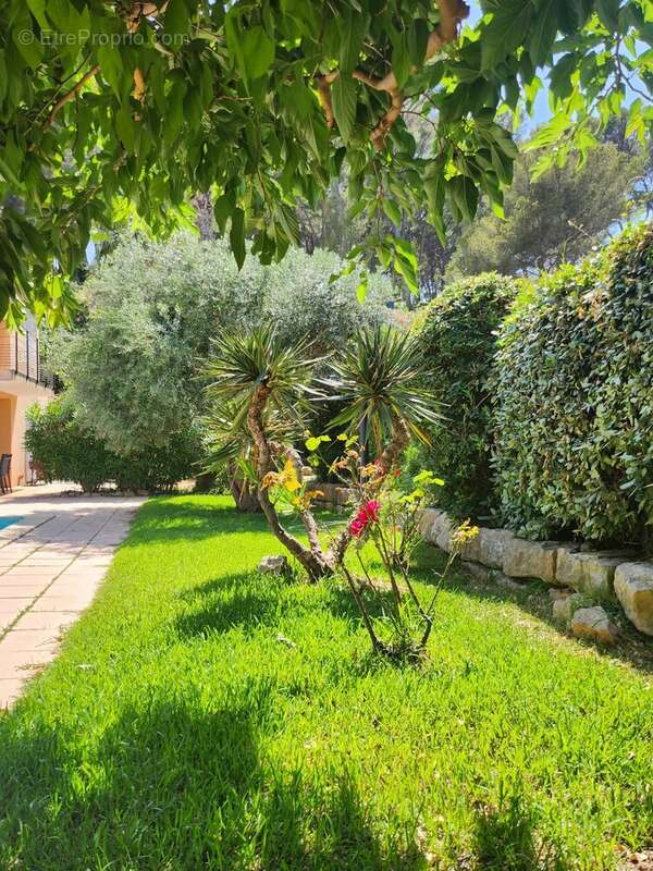 Appartement à SANARY-SUR-MER