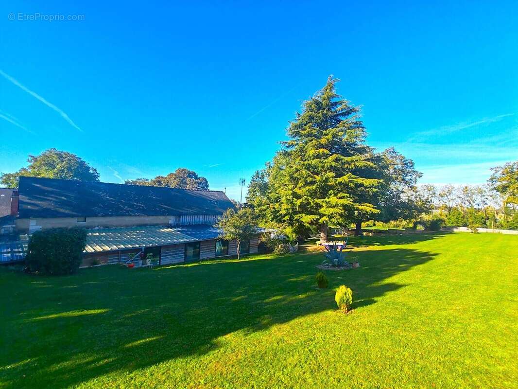 Photo 3 - Maison à BAUGE