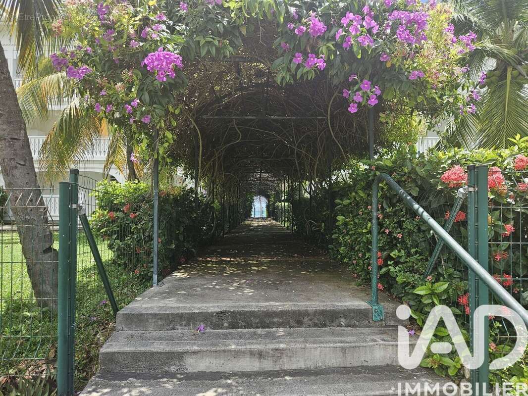 Photo 4 - Appartement à SAINT-FRANCOIS