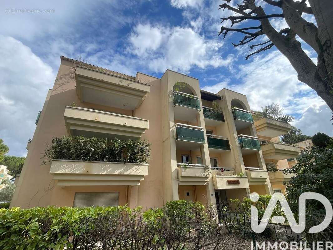 Photo 3 - Appartement à MONTPELLIER