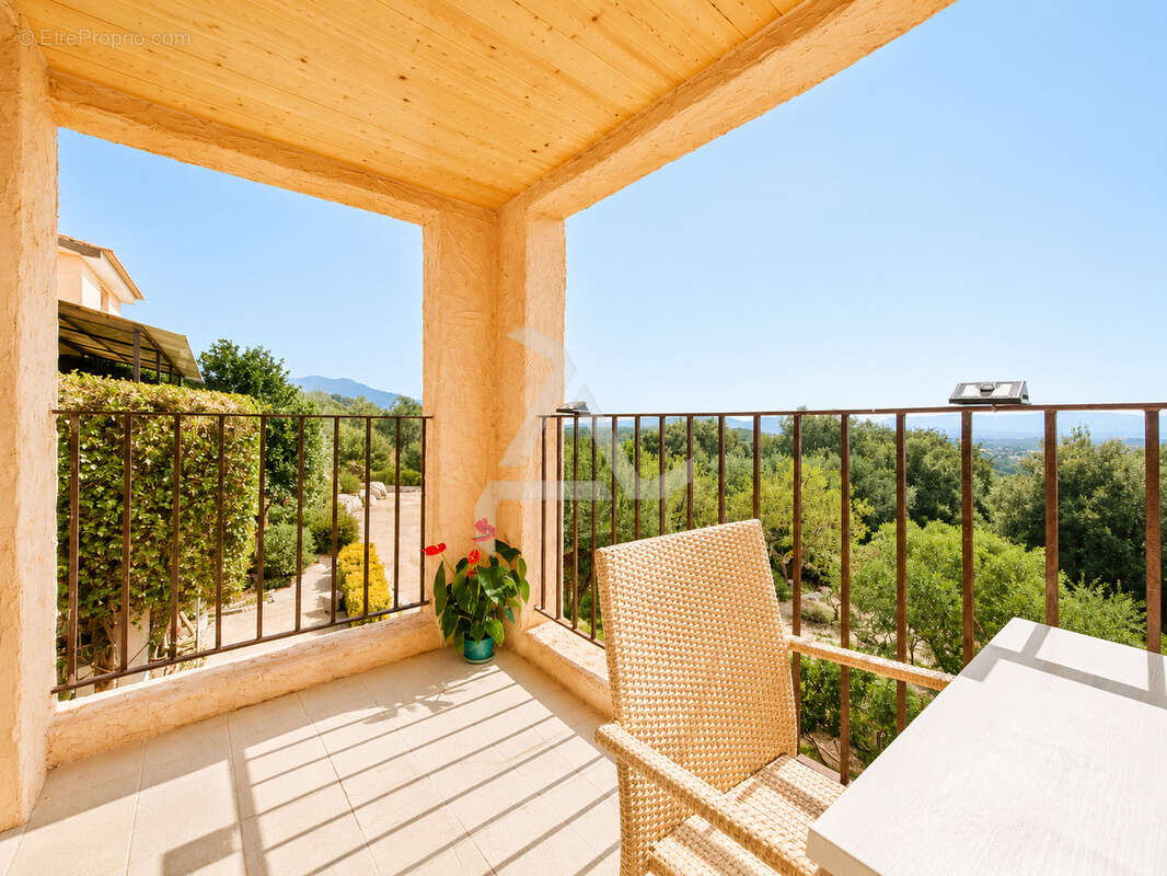 Appartement t2 de 60 m2 avec atelier de 56m2 dans petite copropriété de charme à 20min de porto-vecchio - photo 11