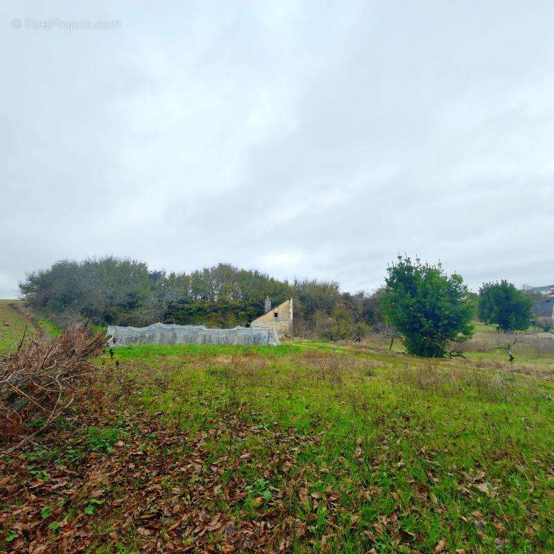 Maison à NEUILLE-PONT-PIERRE