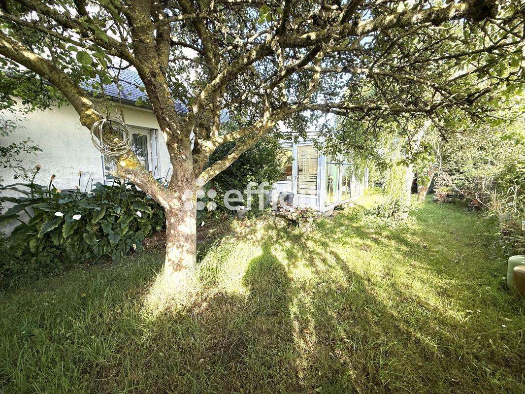 Maison 93 m² à Paimpol  - photo 8
