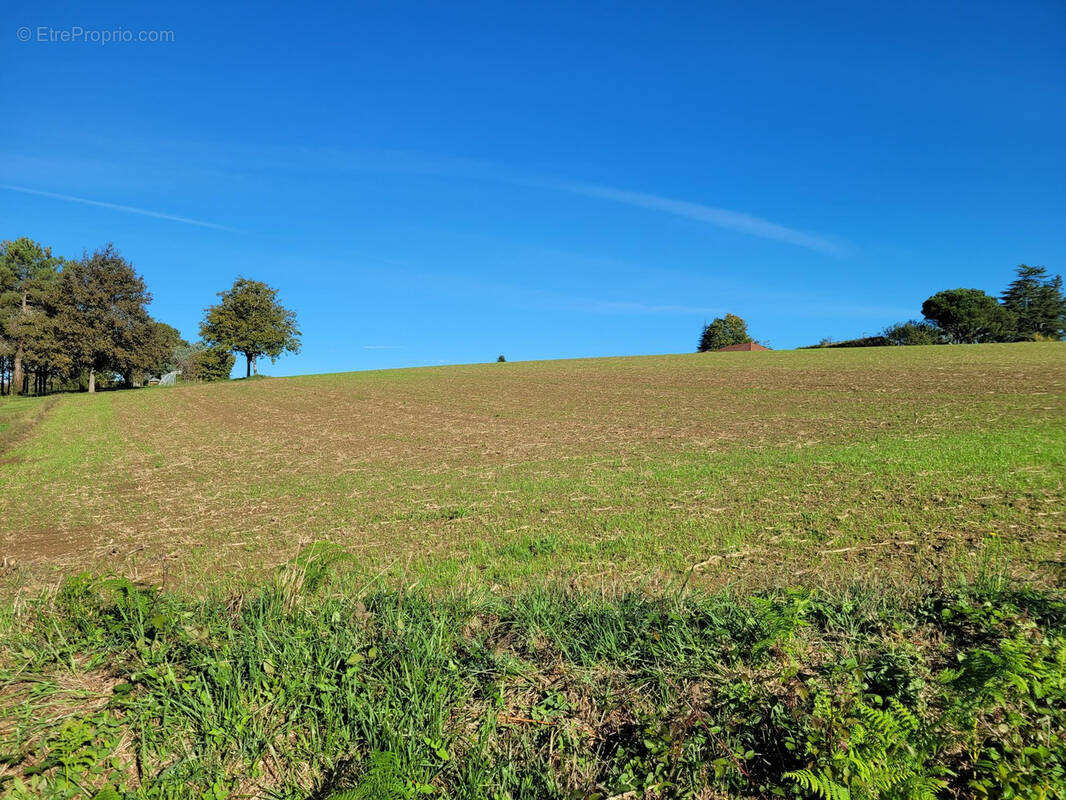 Terrain à ARZACQ-ARRAZIGUET