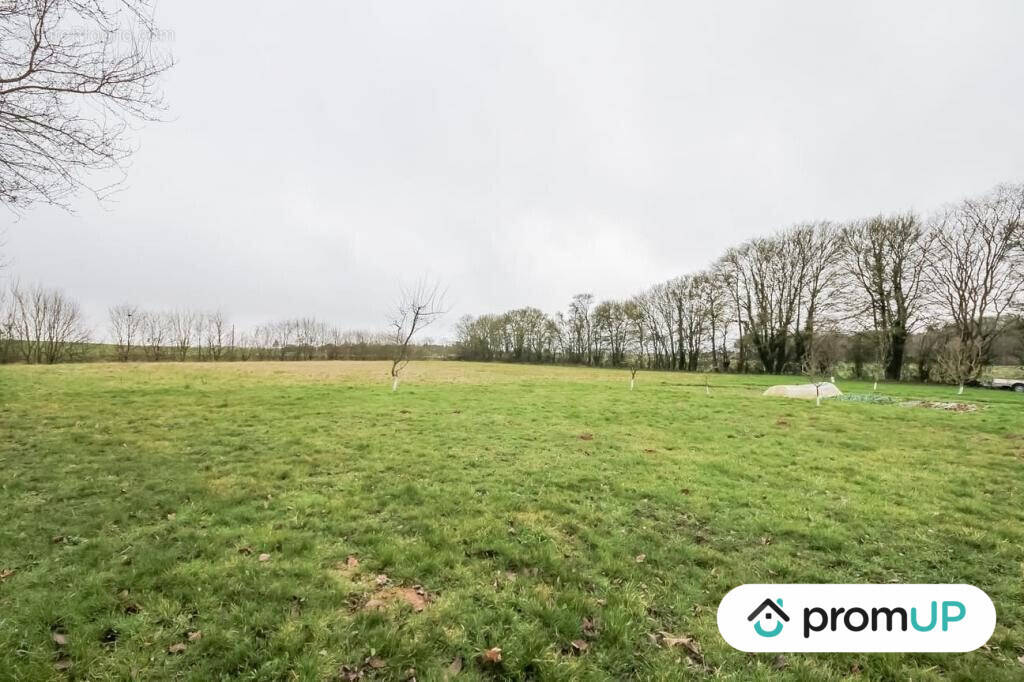 Terrain à CHAILLOUE