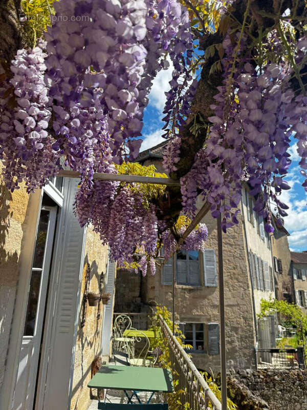 Hôtel particulier - photo 17