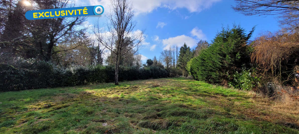 Terrain à VANNES-SUR-COSSON