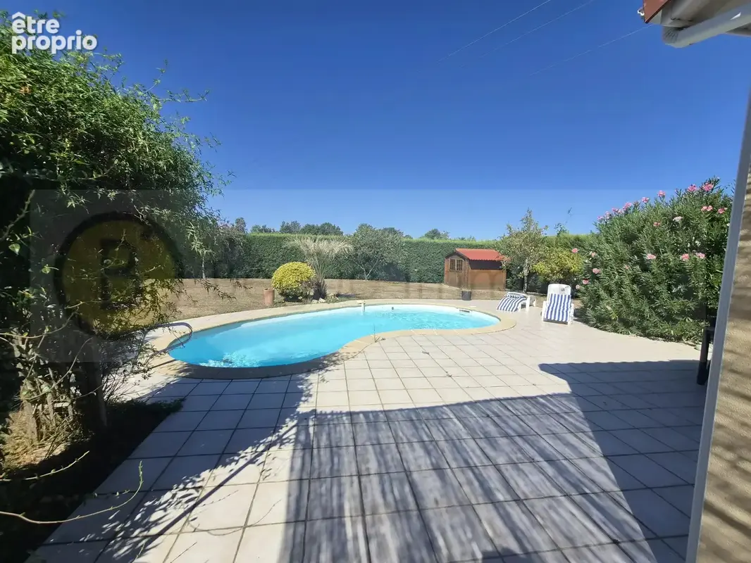 Maison Pibrac  sur 1180 m² avec piscine - photo 12