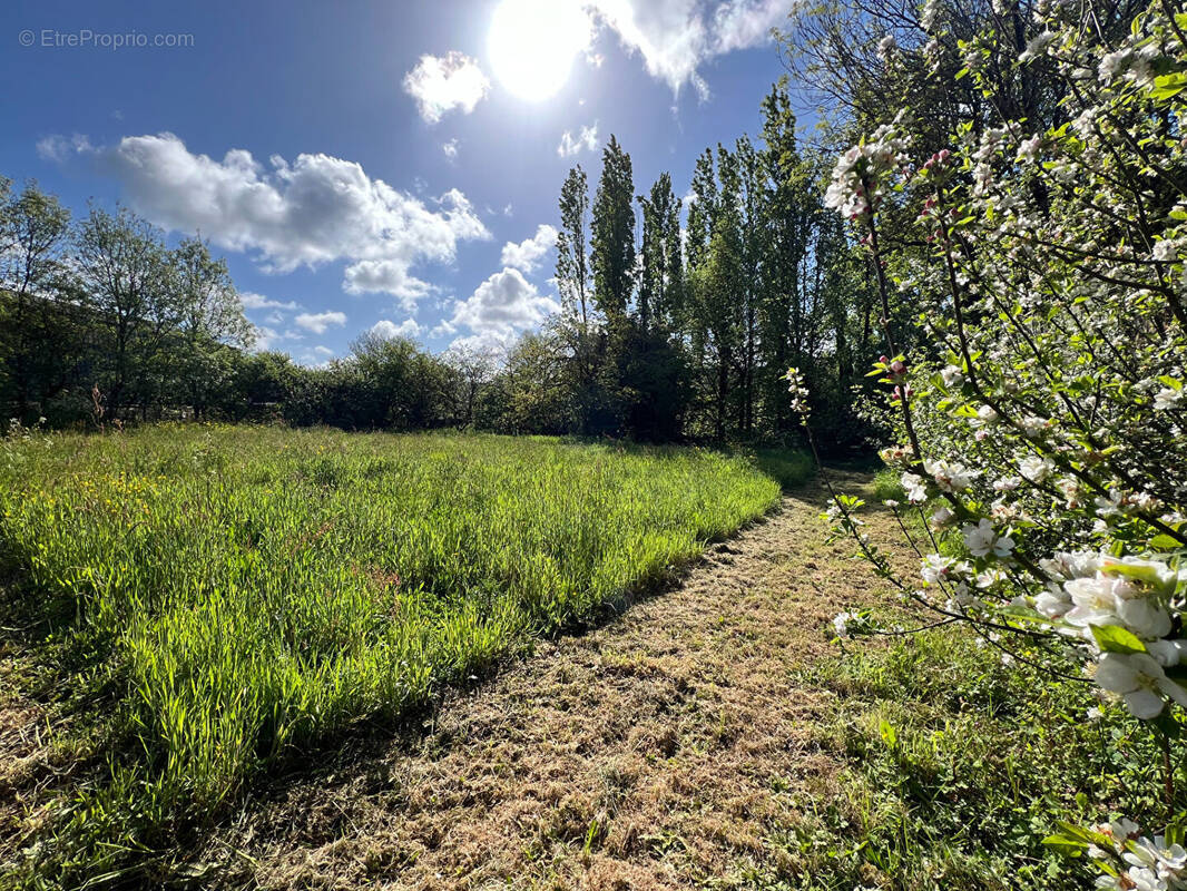Terrain à AIZENAY