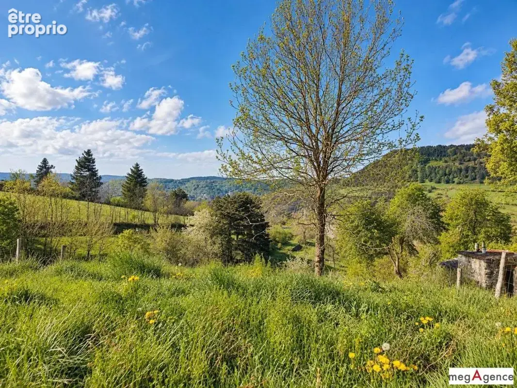 Maison en pierre + grange + 3 200 m² terrain – Cévennes - photo 3
