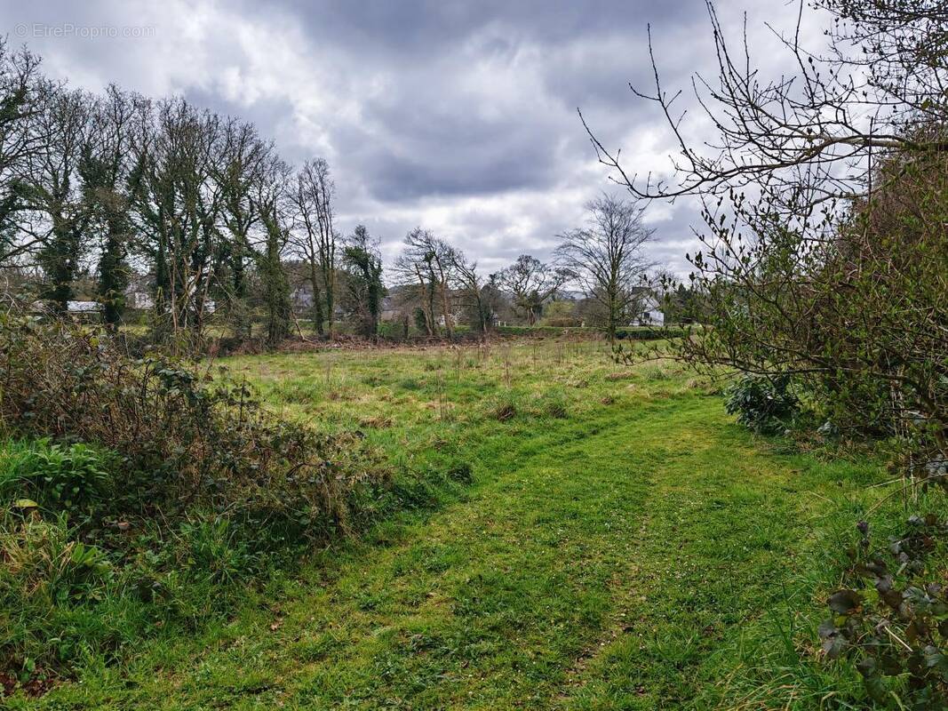 Terrain à BERRIEN