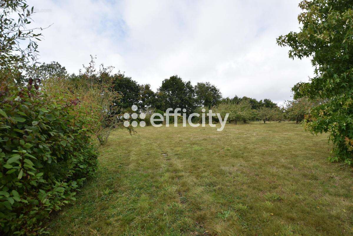 Maison à LOGONNA-DAOULAS