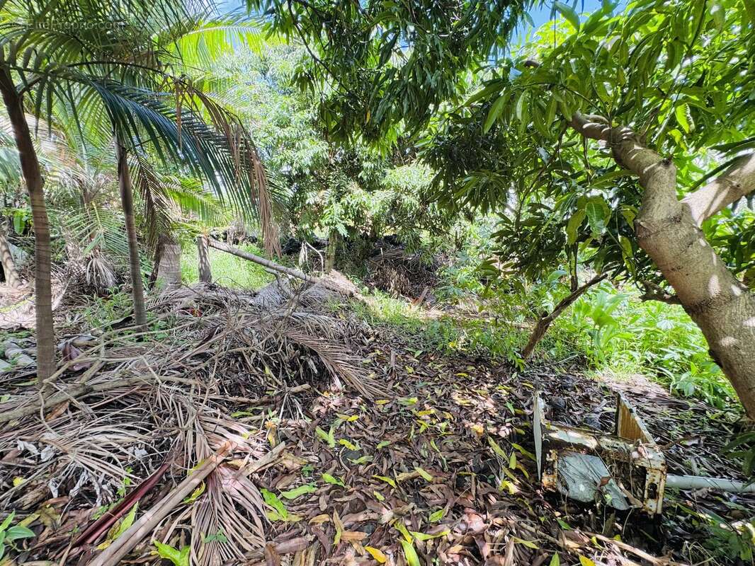 Maison à SAINT-JOSEPH
