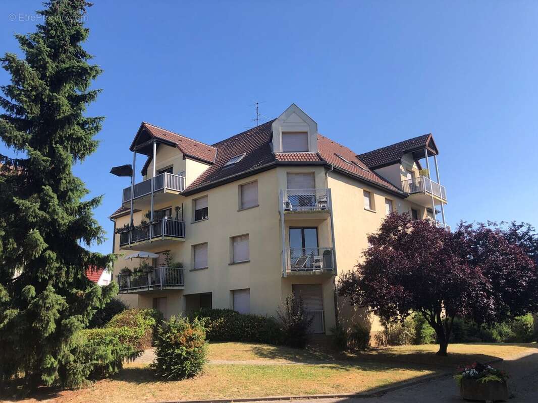 Appartement à NIEDERHAUSBERGEN