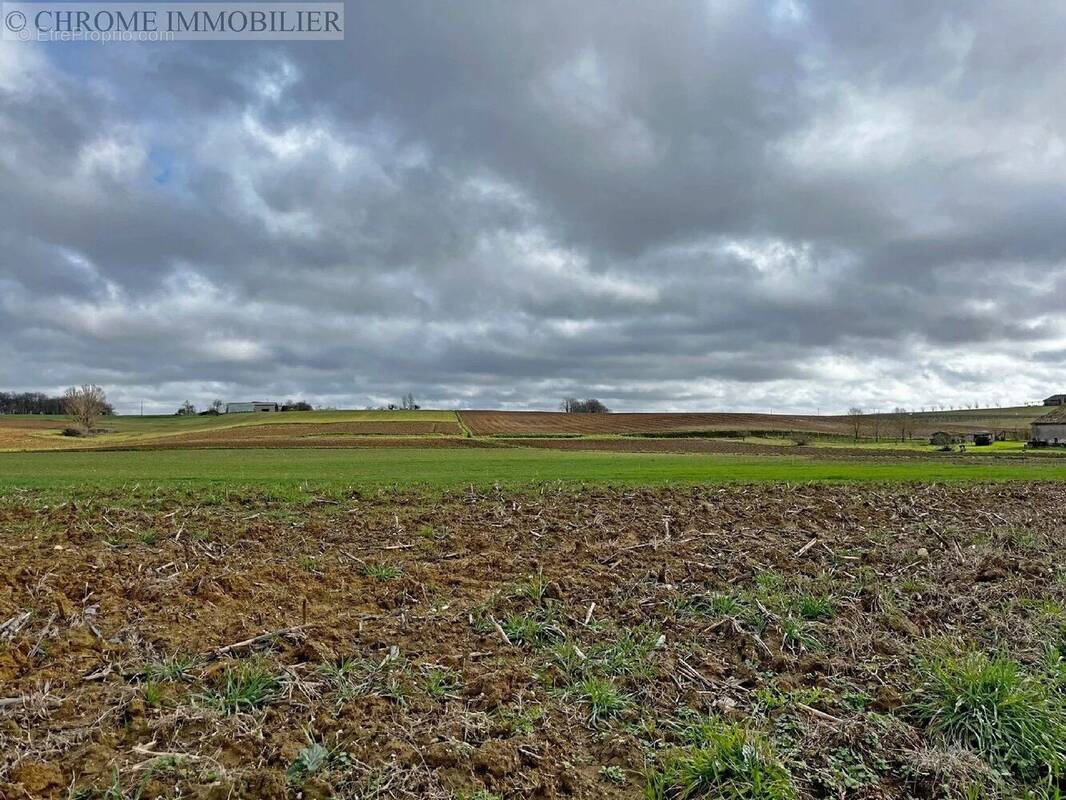 Terrain à PARDAILLAN