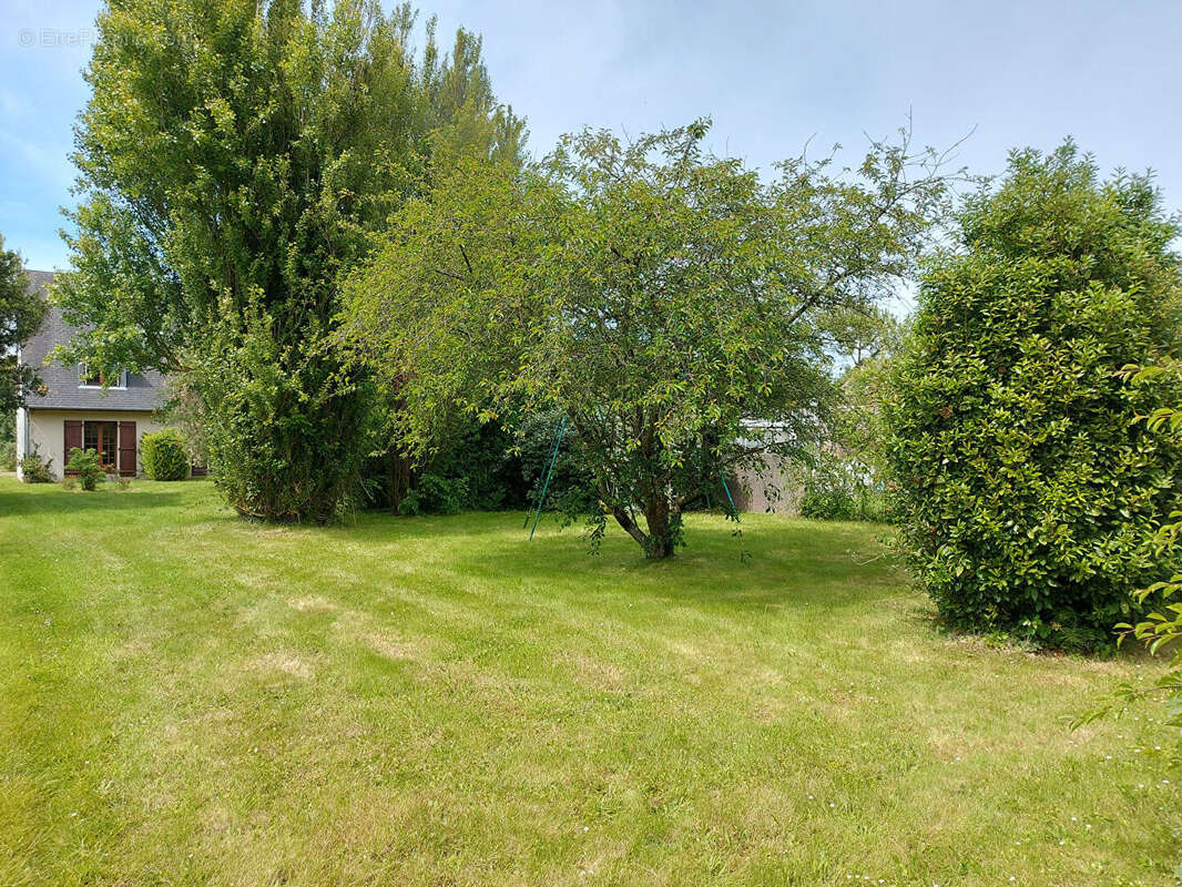 Grande maison familiale à Barfleur avec jardin plein Sud ! - photo 10