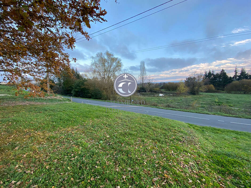 Terrain à CHOUZY-SUR-CISSE